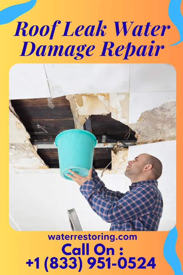 Roof Leak Water Damage Repair in Chicopee, KS